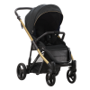 Rainbow Gold 01