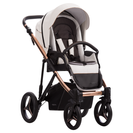 Pascal Premium Class Stella 01 || Pascal Premium Class Stella 01