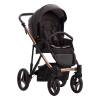 Pascal Premium Class Stella 02 || Pascal Premium Class Stella 02