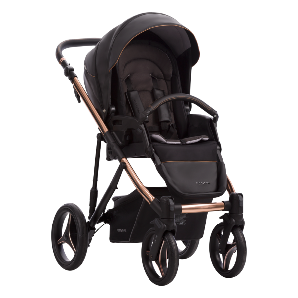 Pascal Premium Class Stella 02