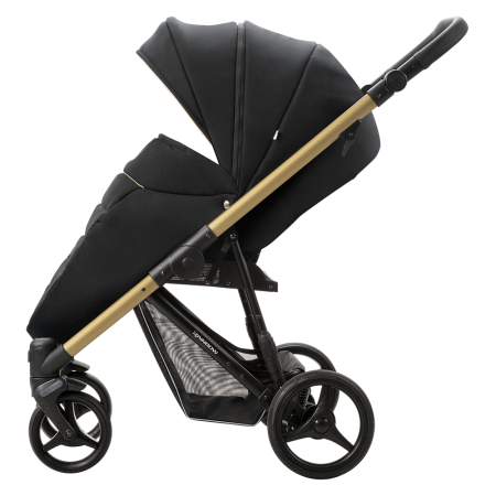 Rainbow Gold 01 || Rainbow Gold 01