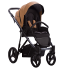 Pascal Premium Class Dark 03 || Pascal Premium Class Dark 03