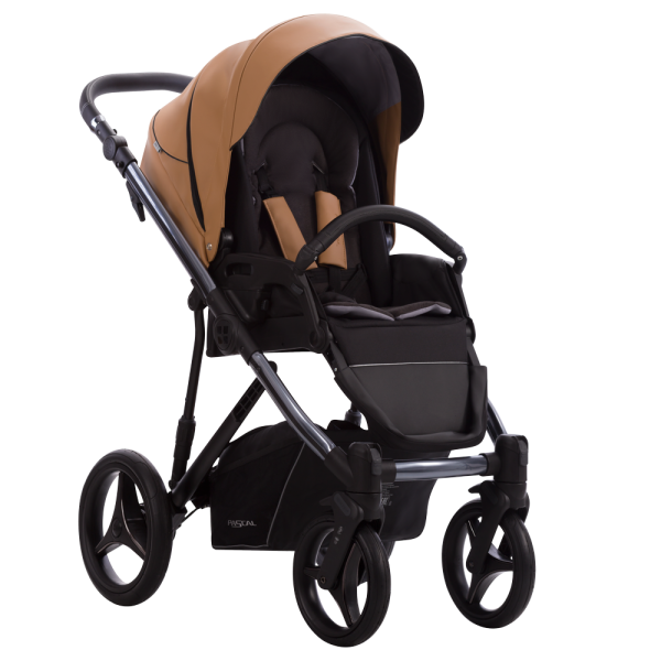 Pascal Premium Class Dark 03