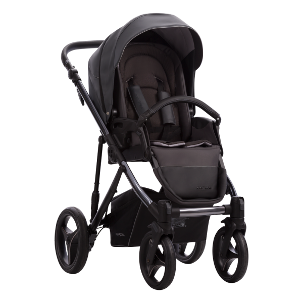 Pascal Premium Class Dark 02