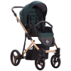 Flavio Premium Stella 01 || Flavio Premium Stella 01