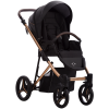 Flavio Premium Stella 02 || Flavio Premium Stella 02