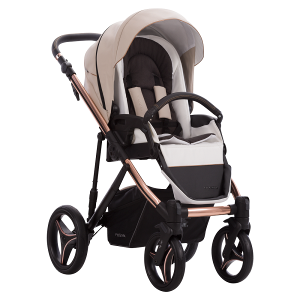 Pascal Premium Class Stella 03