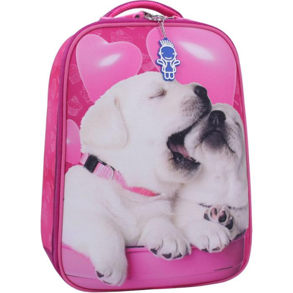 Рюкзак Bagland Turtle 17 л. малиновый 593 (0013470)