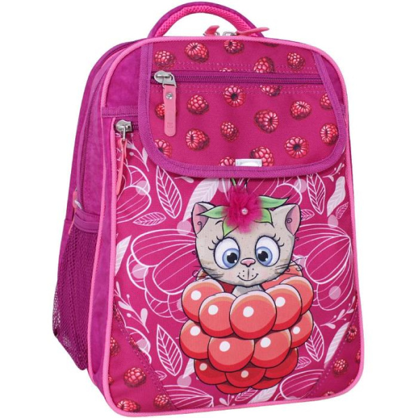 Рюкзак школьный Bagland Отличник 20 л. 143 малина 899 (0058070)